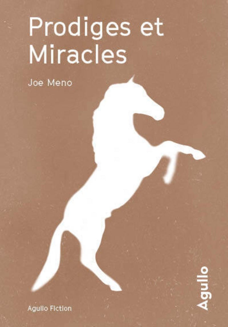 Prodiges et miracles de Joe Meno