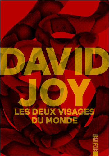 Les deux visages du monde de David Joy