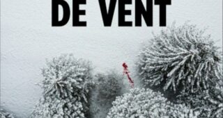 De neige et de vent de Sébastien Vidal